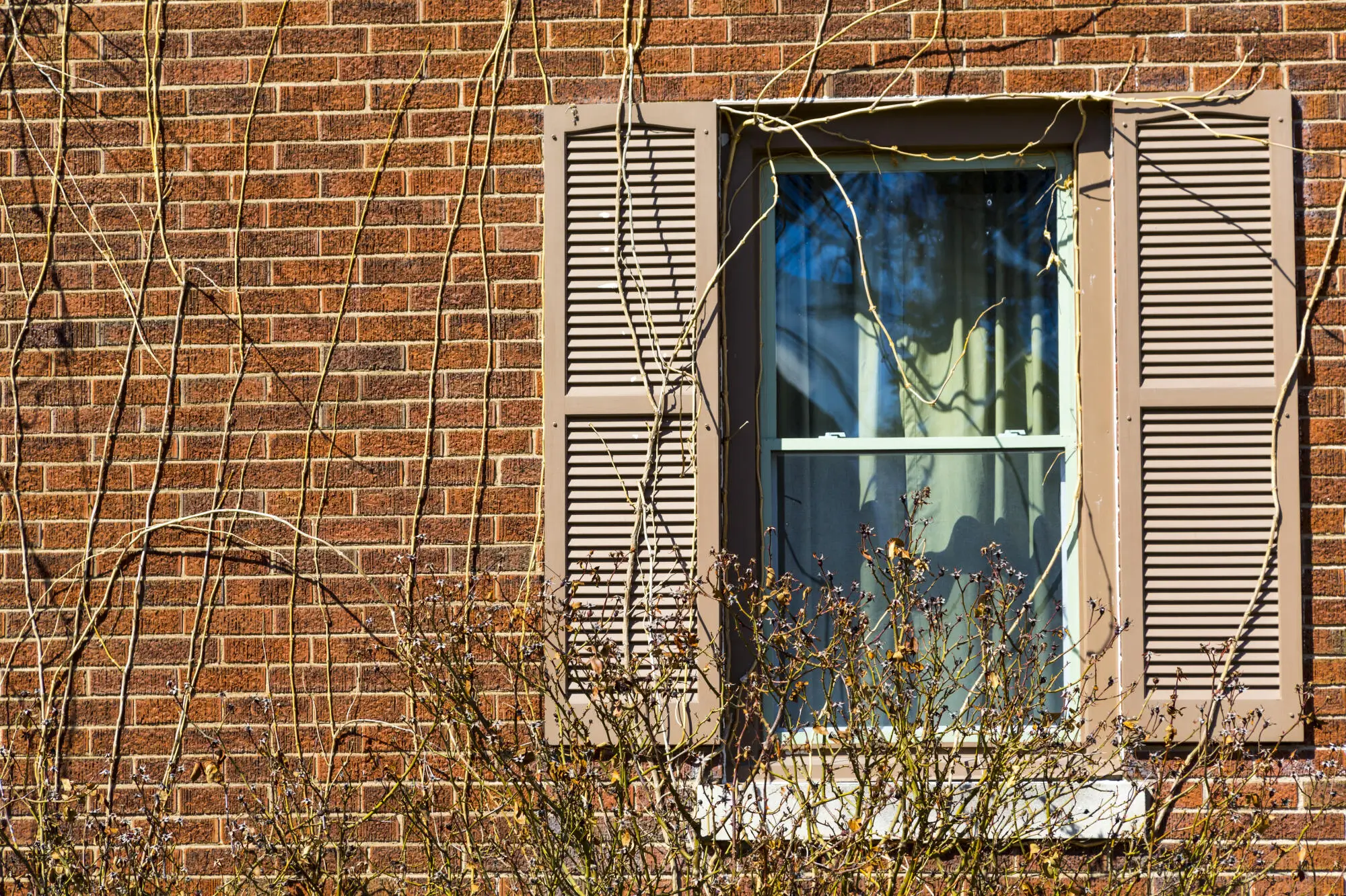 Foreclosures: Exploring Opportunities in Distressed Properties in Glenview, IL